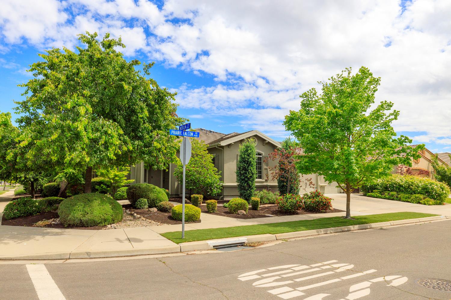 4692 Prairie Falcon Way, Turlock