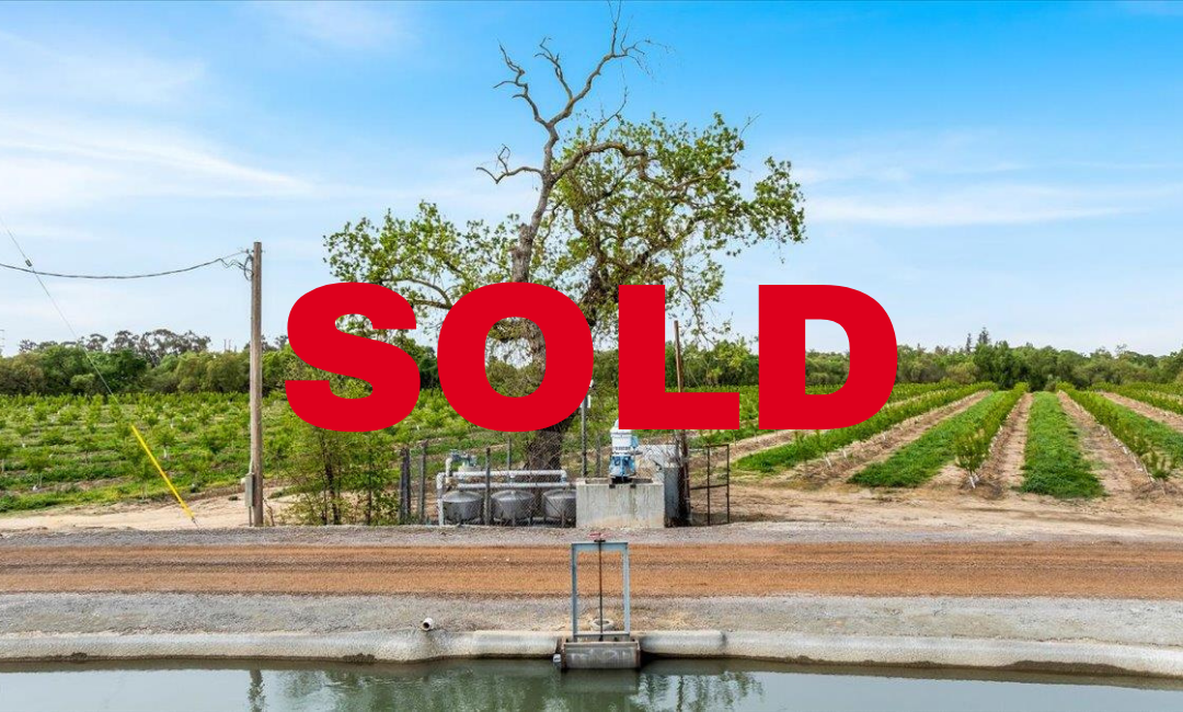 Albers Rd. Modesto, 46.9ac Young Almond Ranch